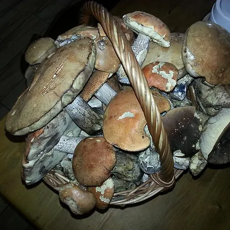 Hospůdka Na Perlíčku - Prdek Penzion Paseky nad Jizerou